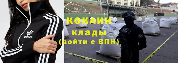 гидра Белокуриха